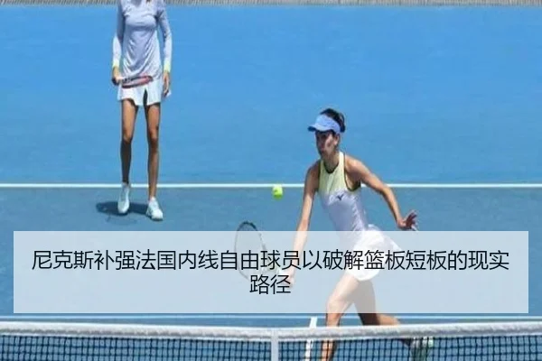 尼克斯补强法国内线自由球员以破解篮板短板的现实路径